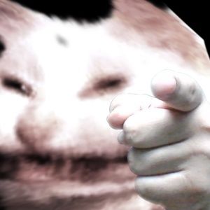 Meet your Posher, Jonas